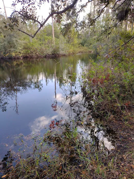 Serenova tract campground 4