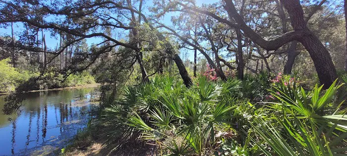 Serenova tract campground 6