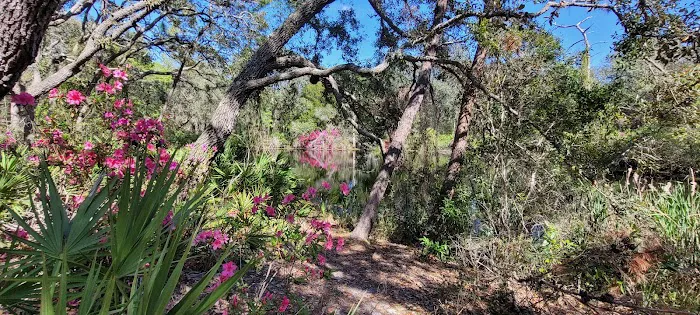 Serenova tract campground 8