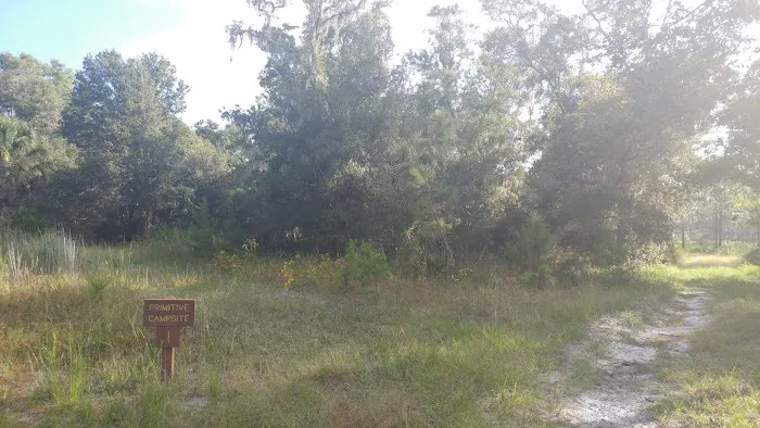 Back Country Campsite #1 3