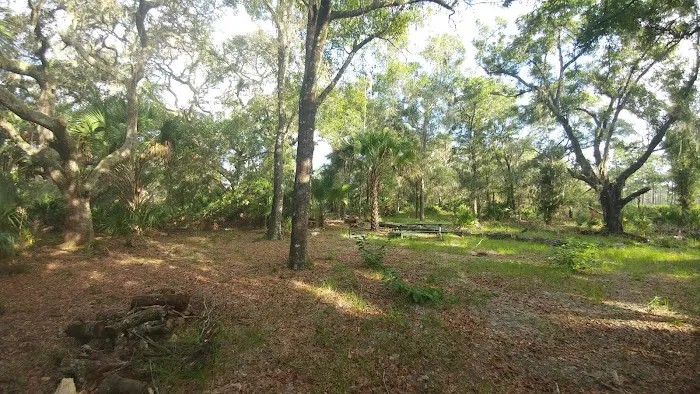 Back Country Campsite #1 1