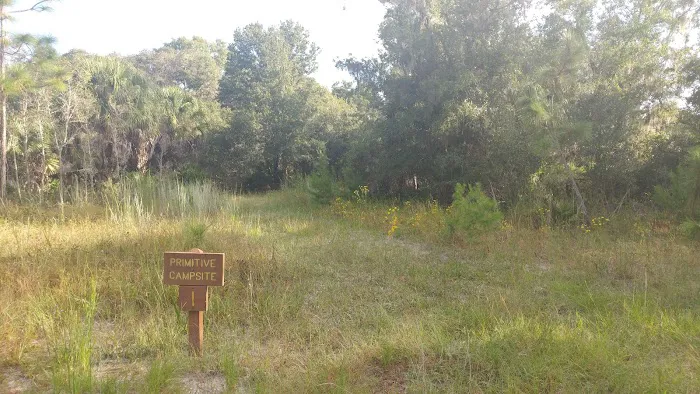 Back Country Campsite #1 0