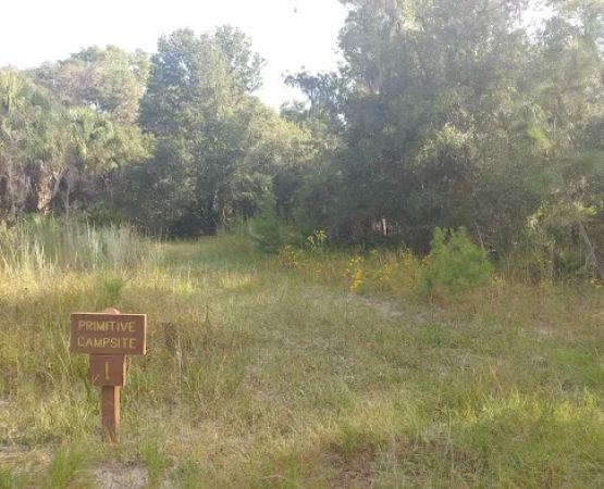 Back Country Campsite #1