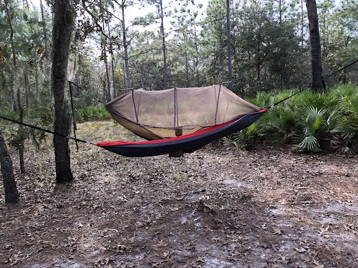 Back Country Campsite #3 2