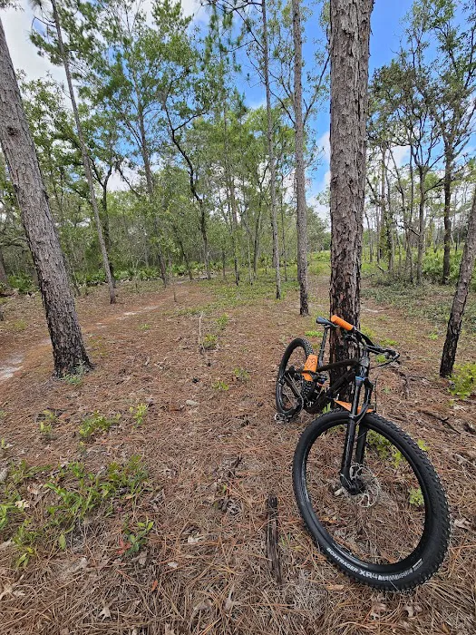 Back Country Campsite #3 0