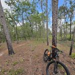 Back Country Campsite #3