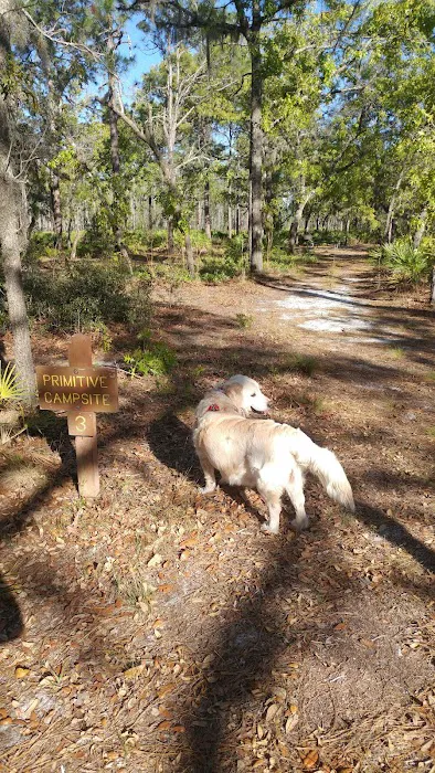 Back Country Campsite #3 5
