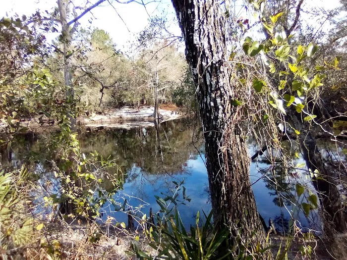 FNST High Bluff Camp 9