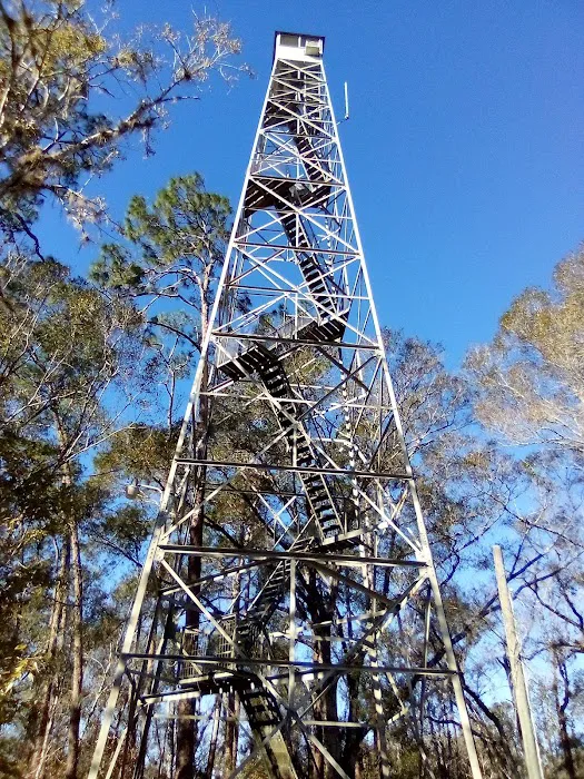 FNST High Bluff Camp 11