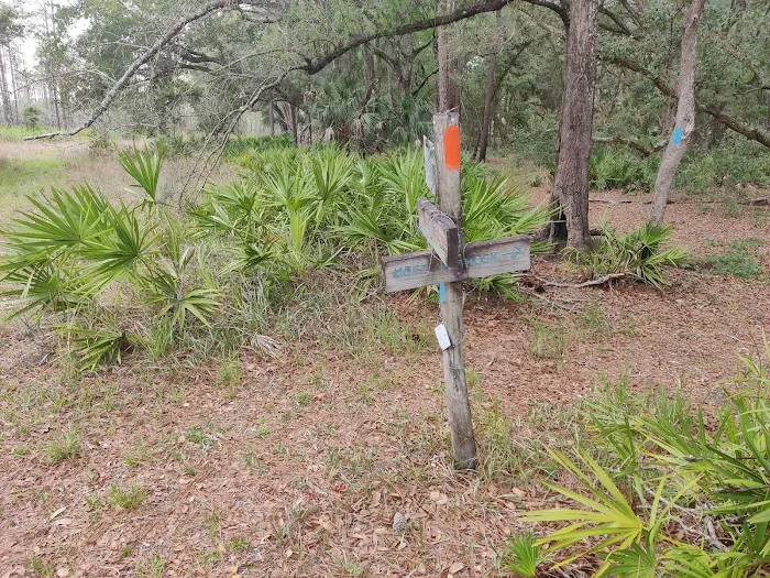 SWFWMD Mott Hammock Camp 2