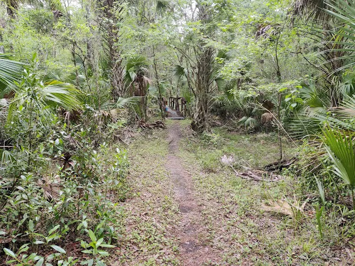 SWFWMD Mott Hammock Camp 3