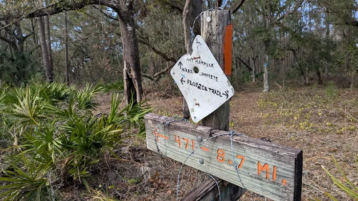SWFWMD Mott Hammock Camp 5