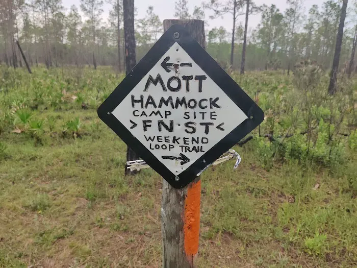 SWFWMD Mott Hammock Camp 6