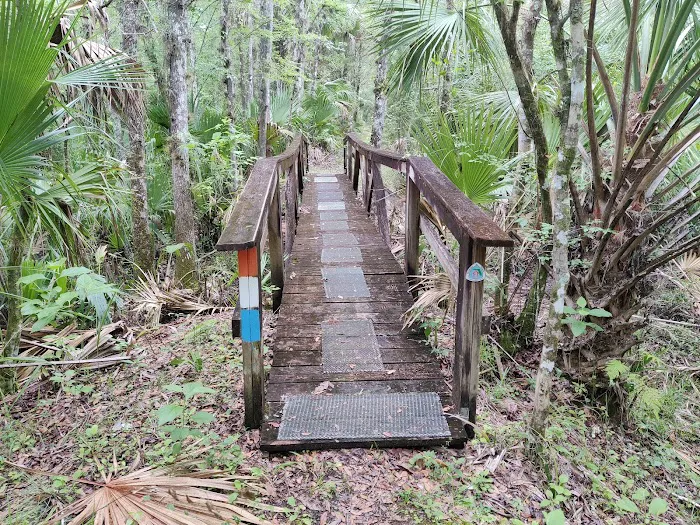 SWFWMD Mott Hammock Camp 7