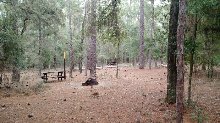 Colonel Robin's Group Area 5
