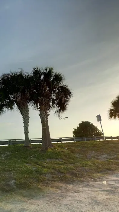 Terra Ceia Bay Estates 3