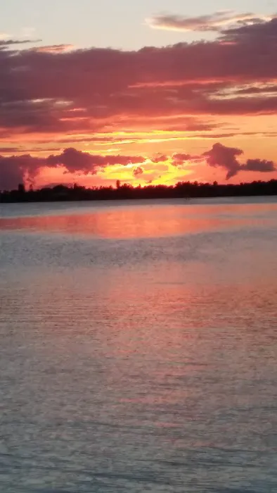 Terra Ceia Bay Estates 7
