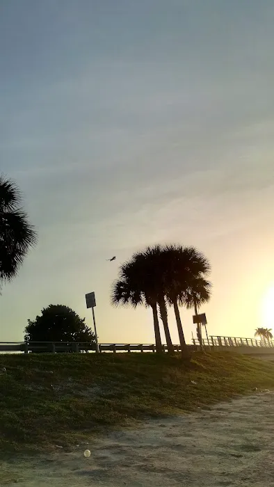 Terra Ceia Bay Estates 9
