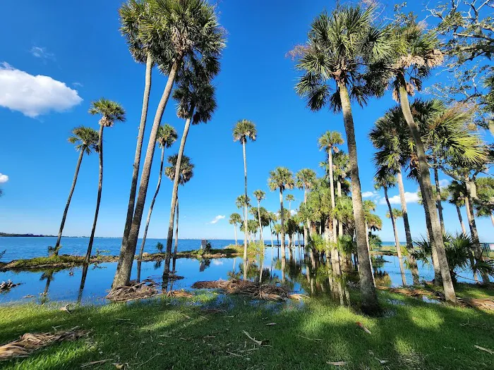 Manatee Hammock Campground 1