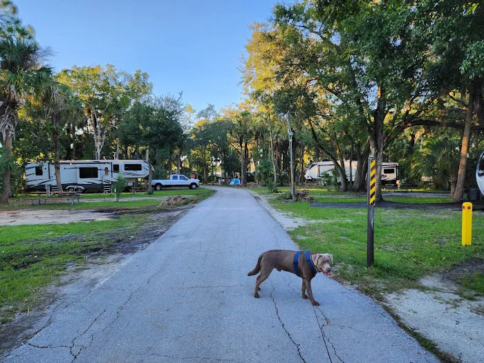Manatee Hammock Campground 7