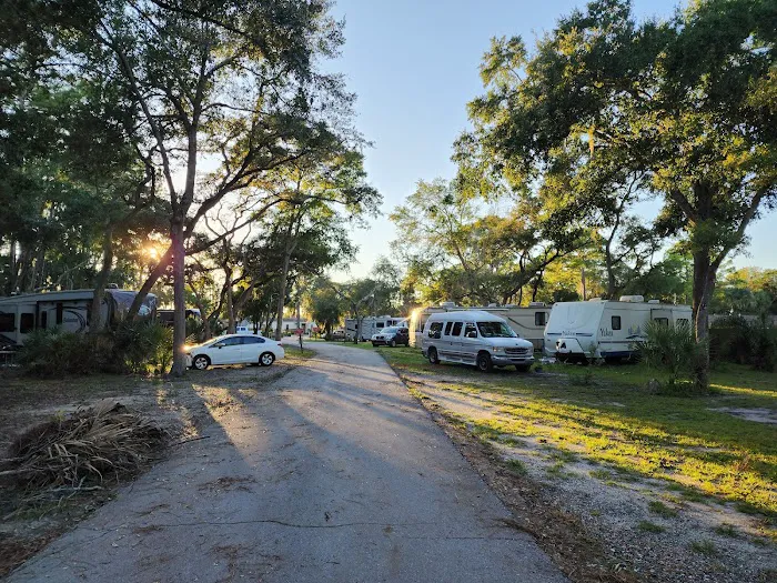 Manatee Hammock Campground 8