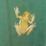 Moose lodge campground