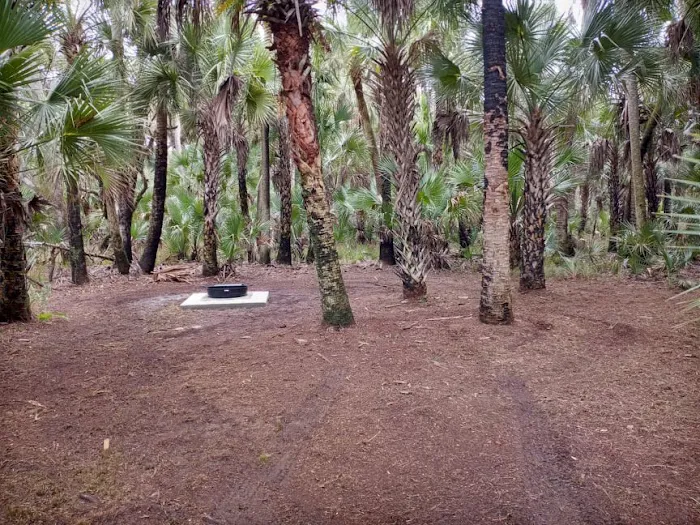 Turkey Roost Campsite 0