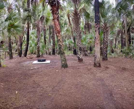 Turkey Roost Campsite