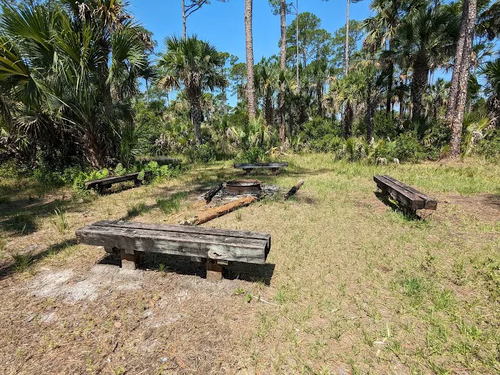 Tiger Branch Camp 2