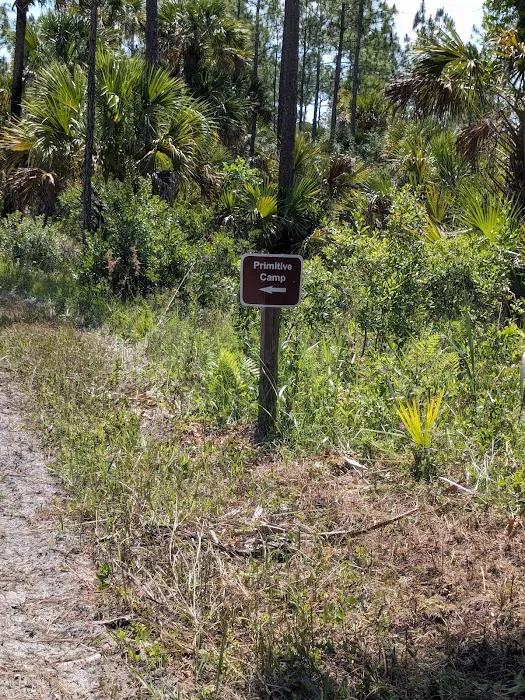 Tiger Branch Camp 1