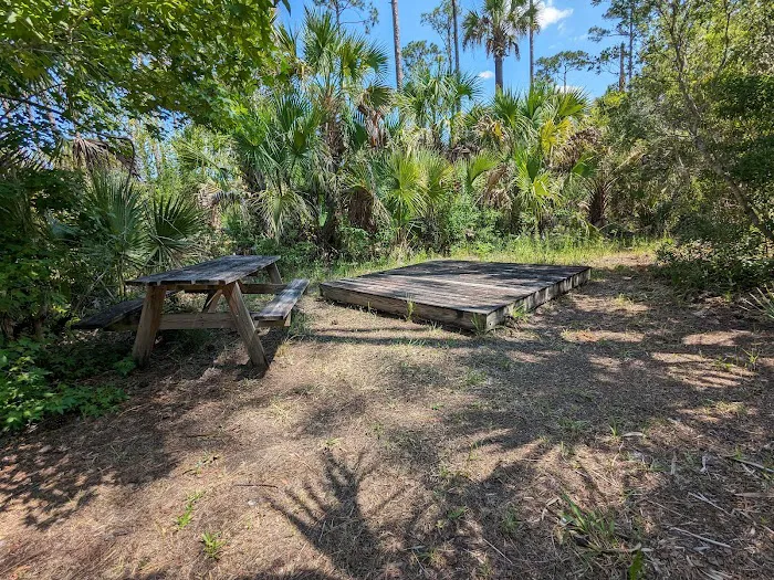 Tiger Branch Camp 6
