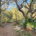 Tosohatchee Youth Camp