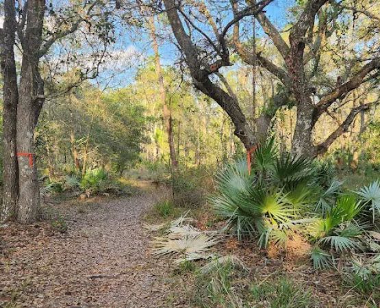 Tosohatchee Youth Camp