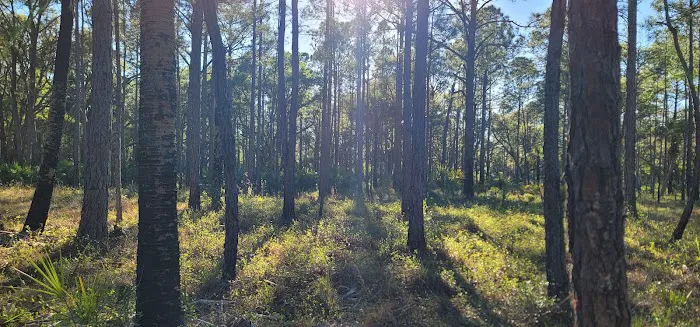 Tosohatchee Youth Camp 1