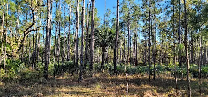 Tosohatchee Youth Camp 5