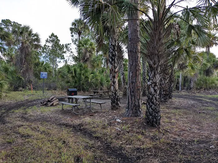 Buck Lake Group Campsite 2