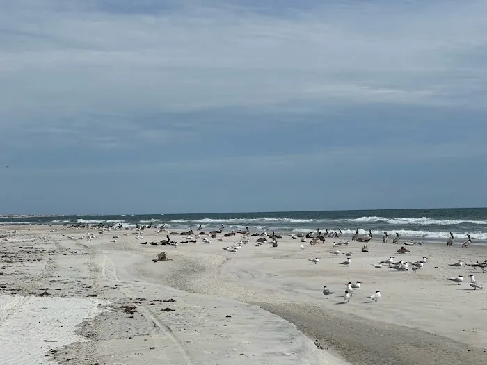 Anastasia State Park Coquina Loop 2