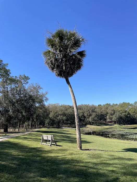 Fiddlers Green RV Ranch 5