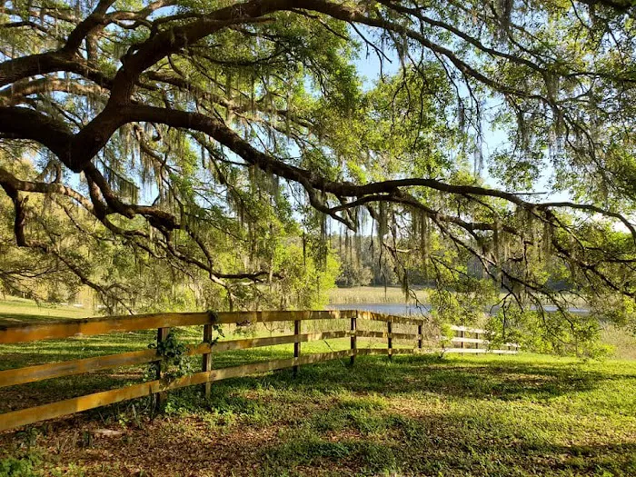 Fiddlers Green RV Ranch 2