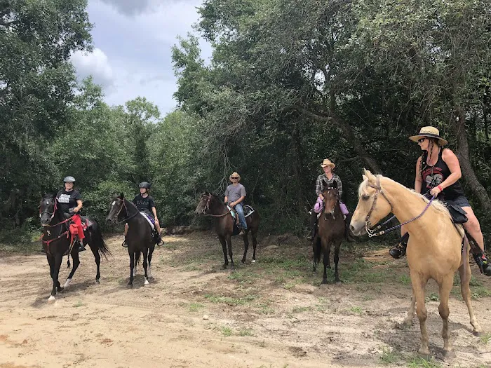 Black Horse Resort Ranch 2
