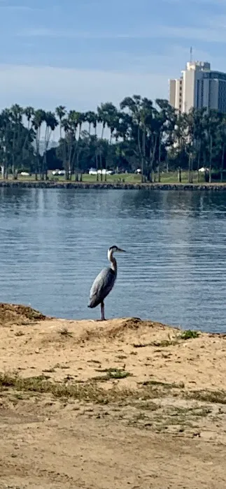 Paradise point beach 0