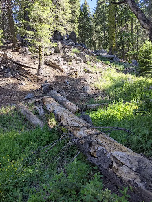 Breckenridge Campground 4