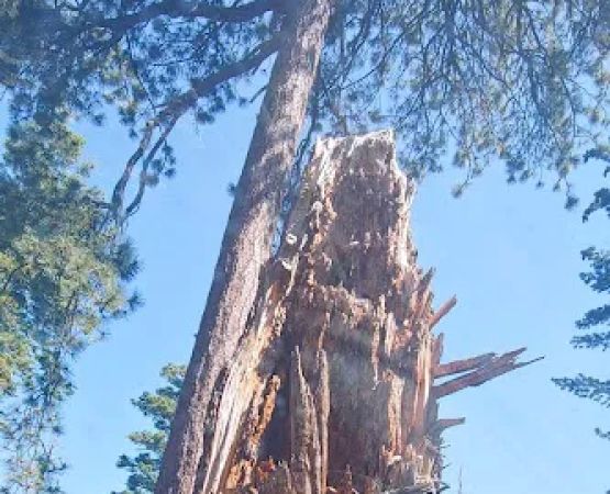 Breckenridge Campground