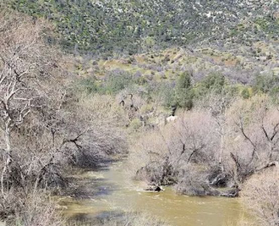 Black Gulch South