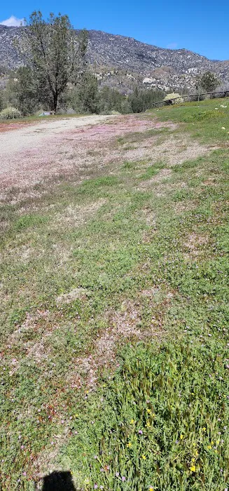 Black Gulch South 4