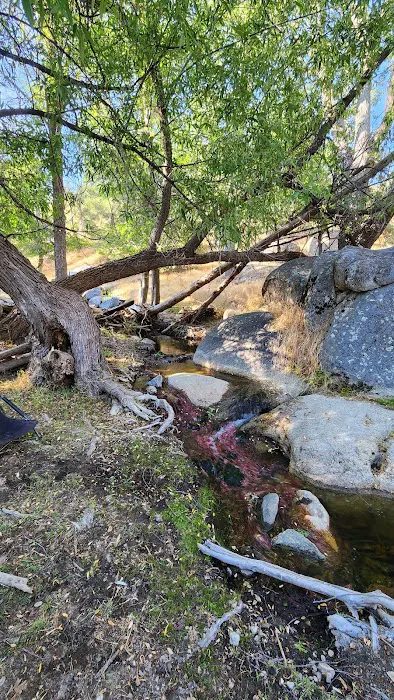 Black Gulch South 5