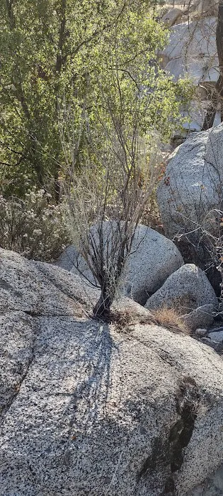 Sandy Flat Campground 4