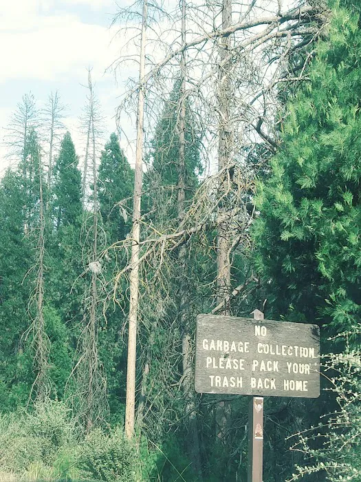 Alder Creek Campground 2