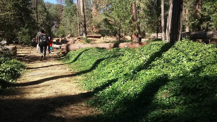 Alder Creek Campground 8