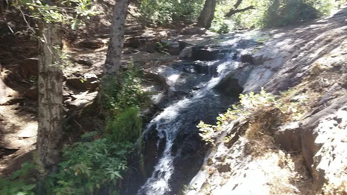 Alder Creek Campground 6